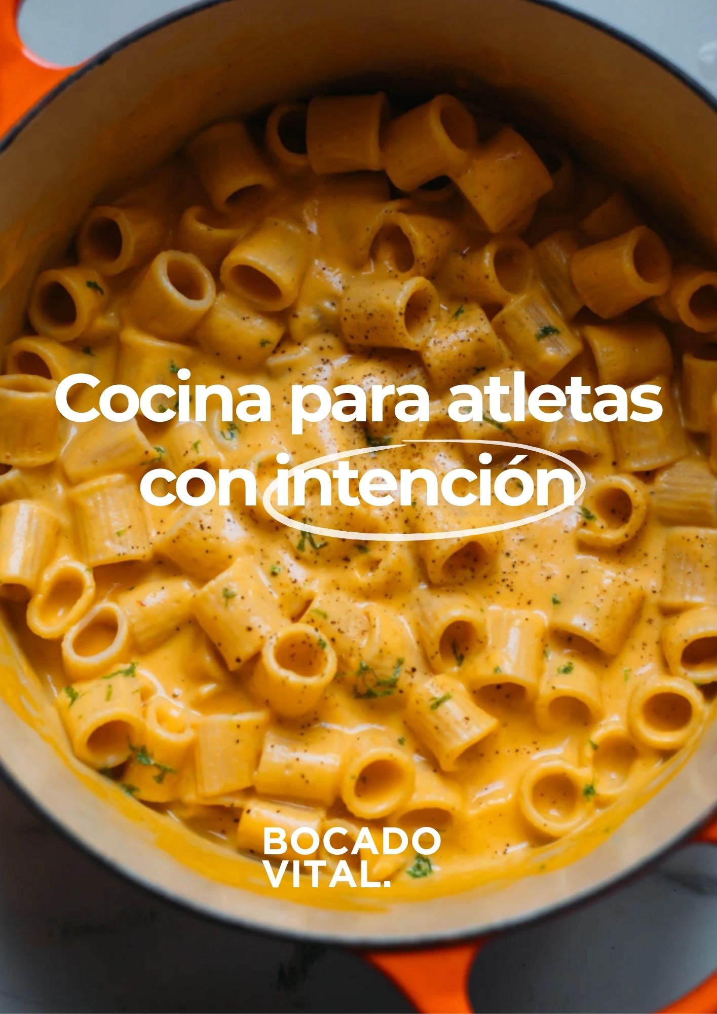 LIBRO DE RECETAS